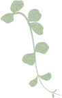 leaf08